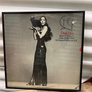 Cher Dark Lady Cover Art 1x1 Frame